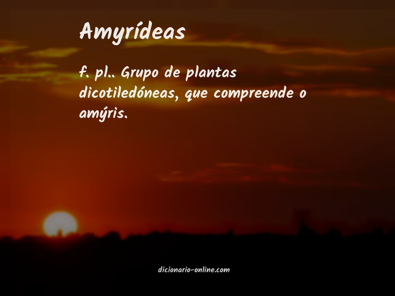 Significado de amyrídeas