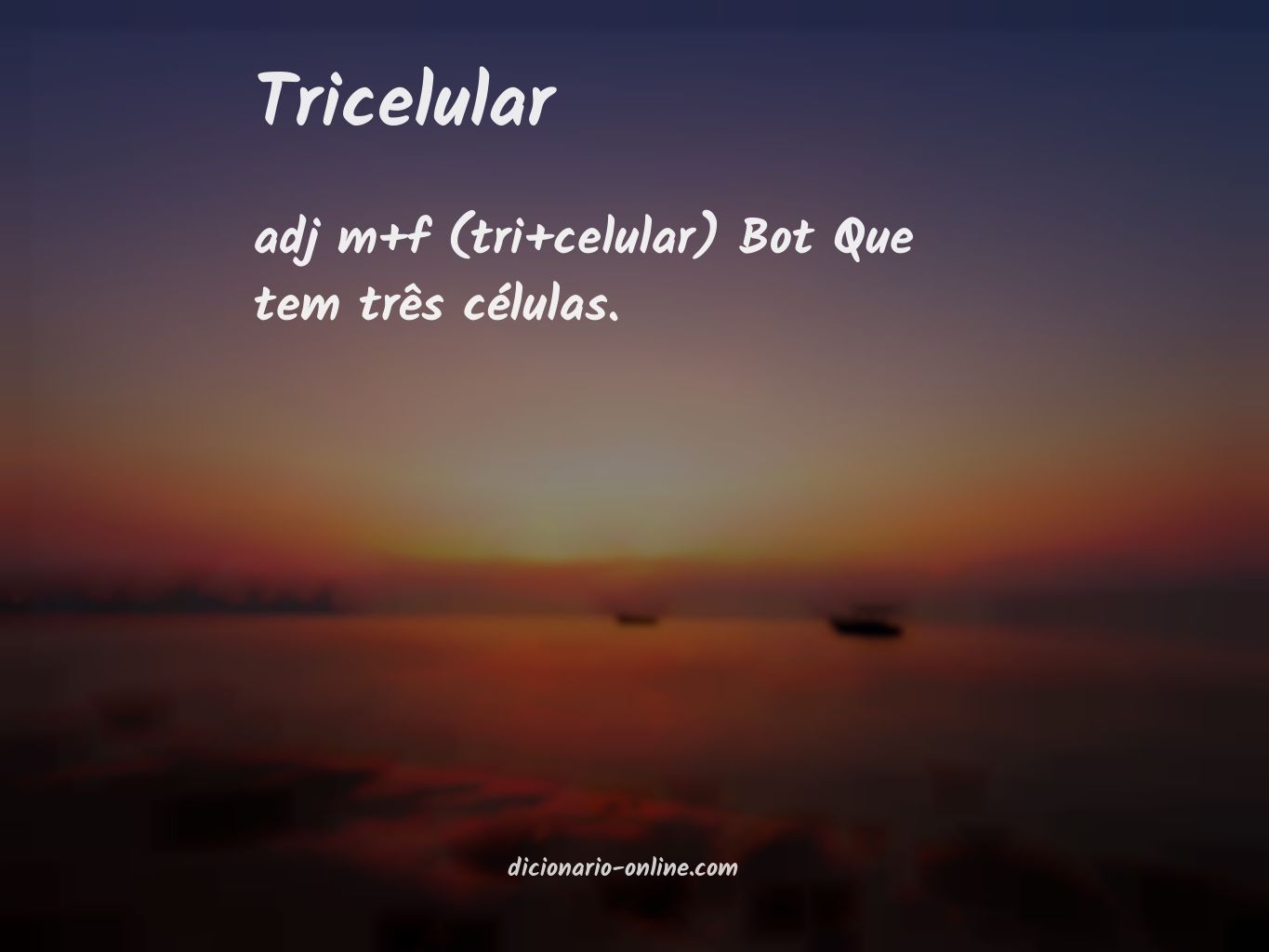 Significado de tricelular