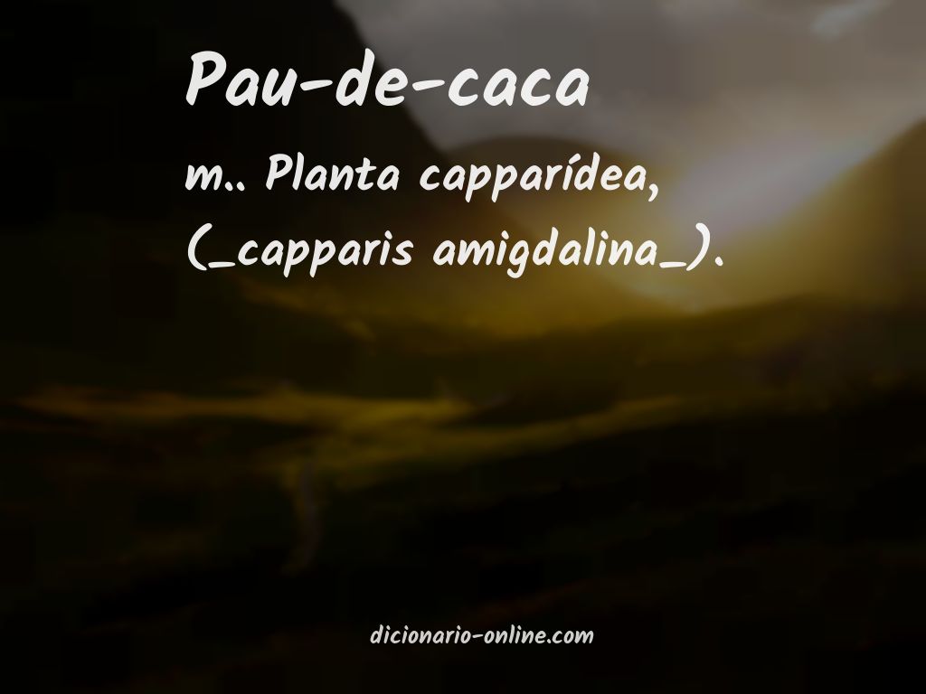 Significado de pau-de-caca