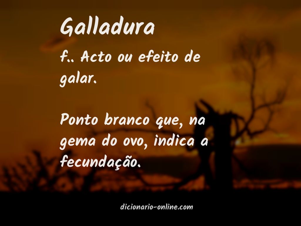 Significado de galladura