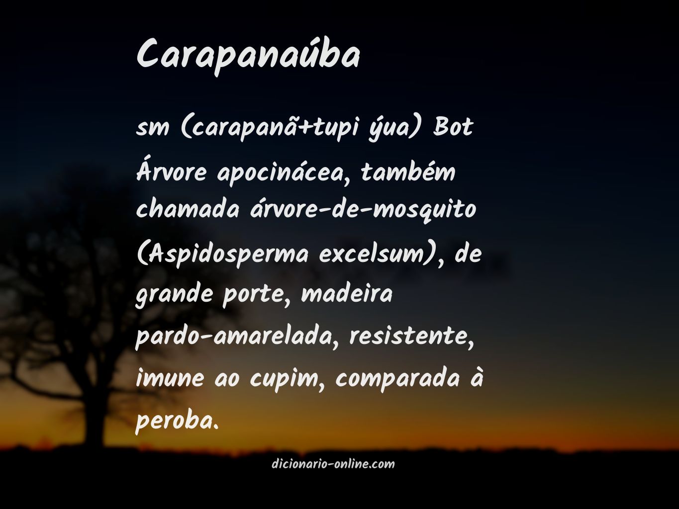 Significado de carapanaúba