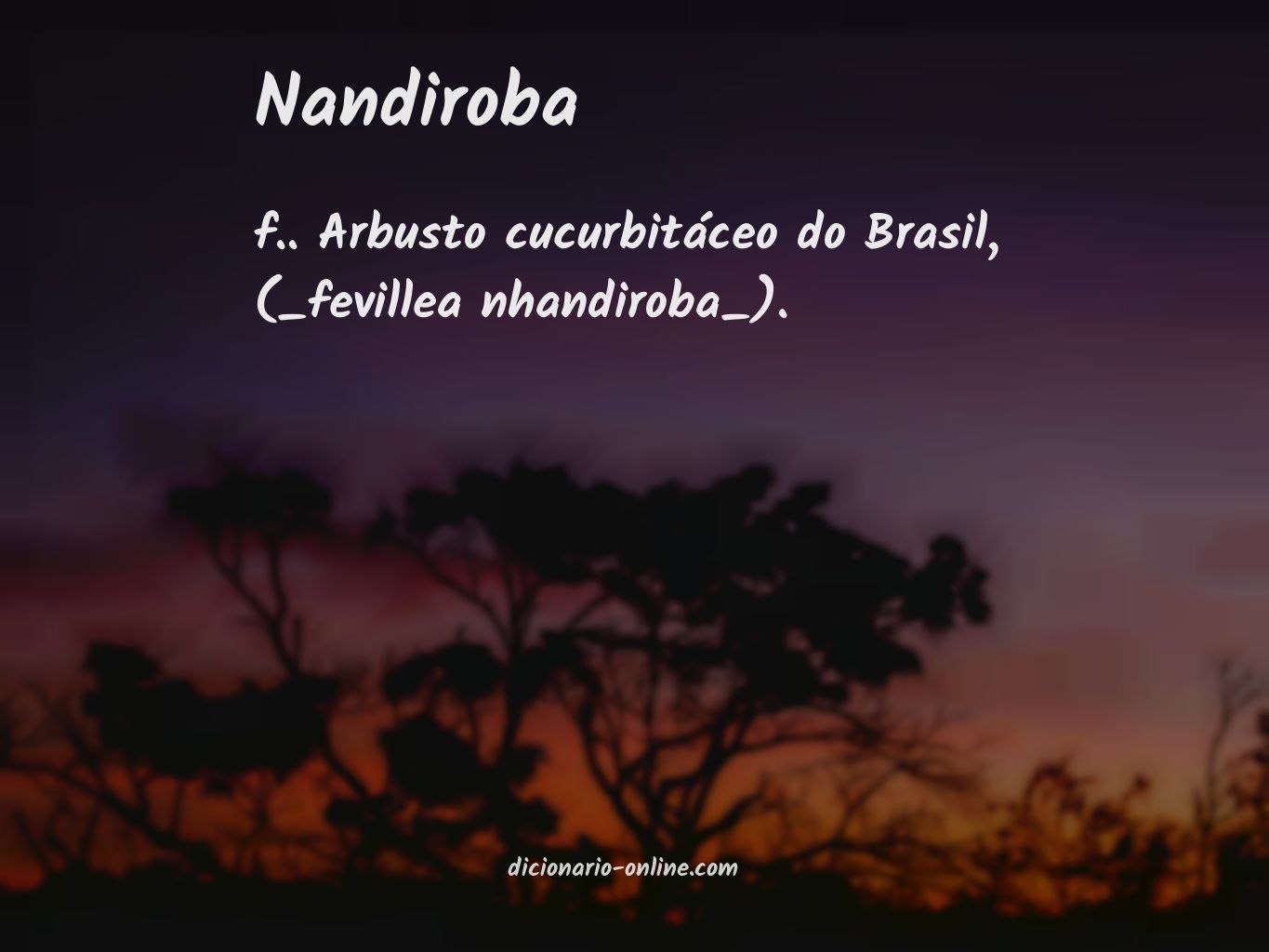 Significado de nandiroba