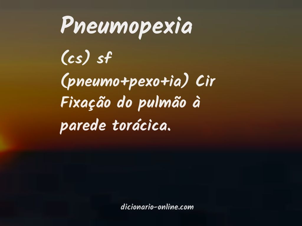 Significado de pneumopexia