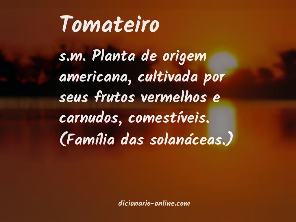 Significado de tomateiro