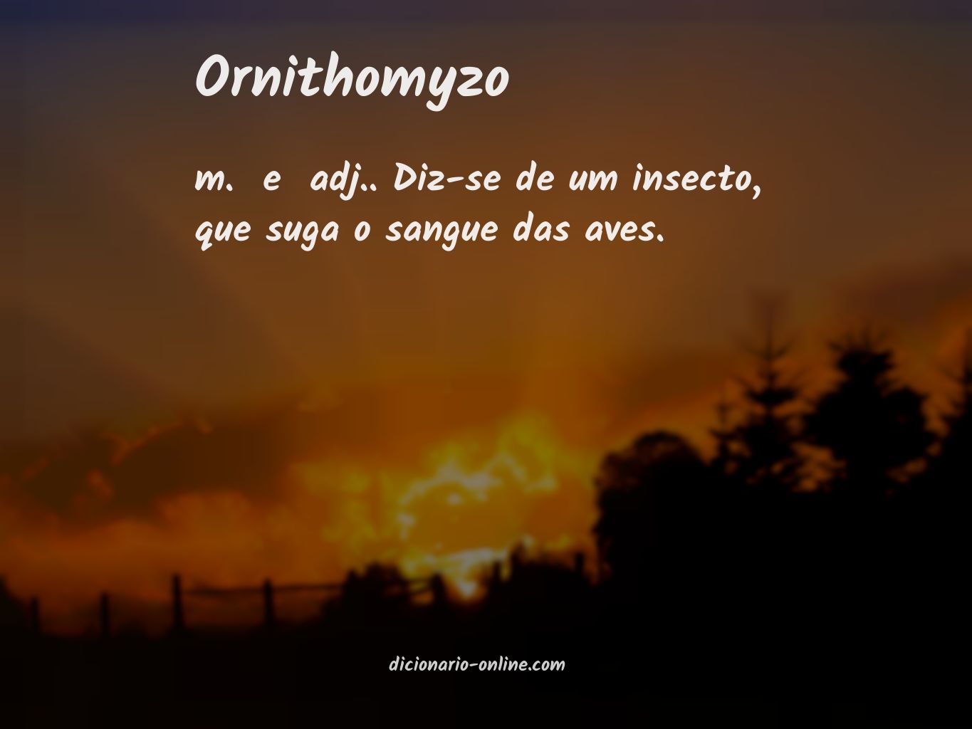 Significado de ornithomyzo