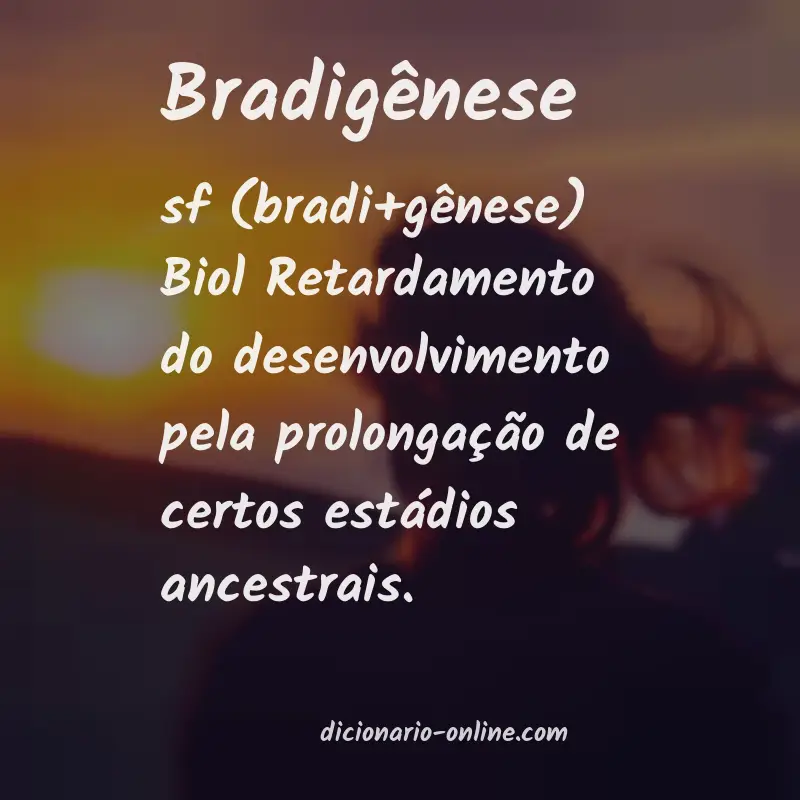 Significado de bradigênese