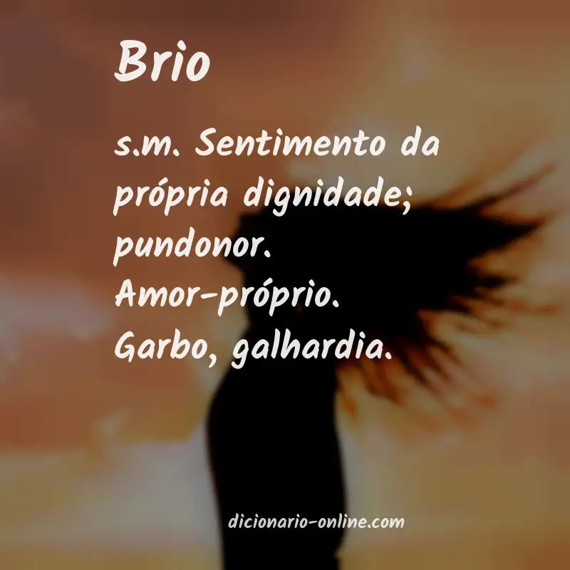 Significado de brio