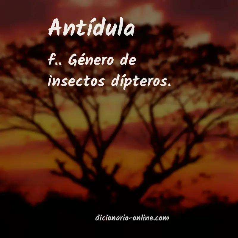 Significado de antídula