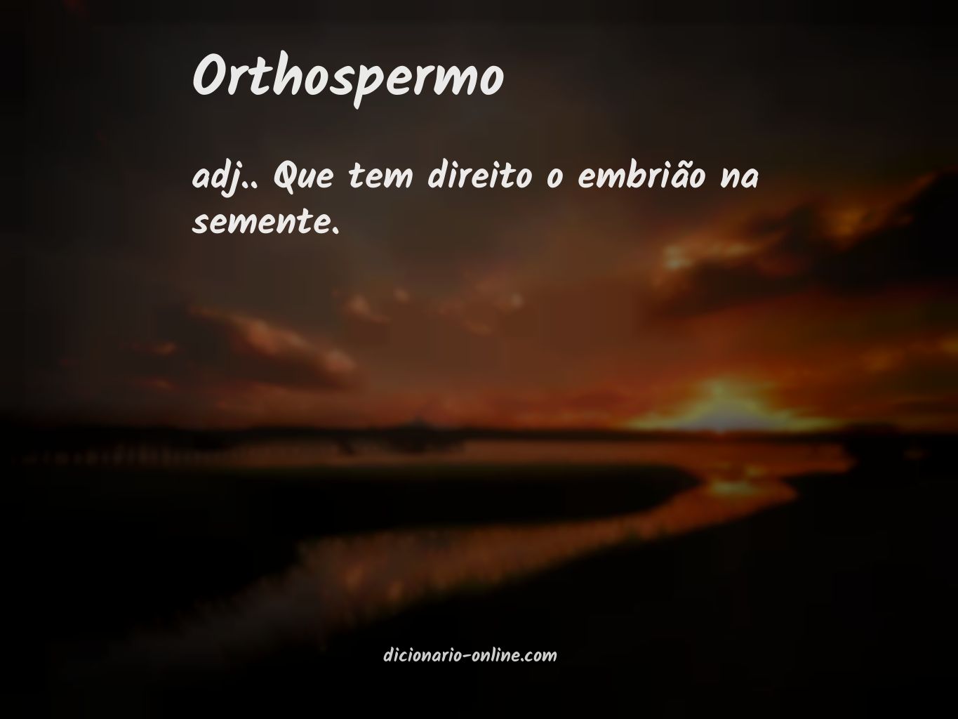 Significado de orthospermo