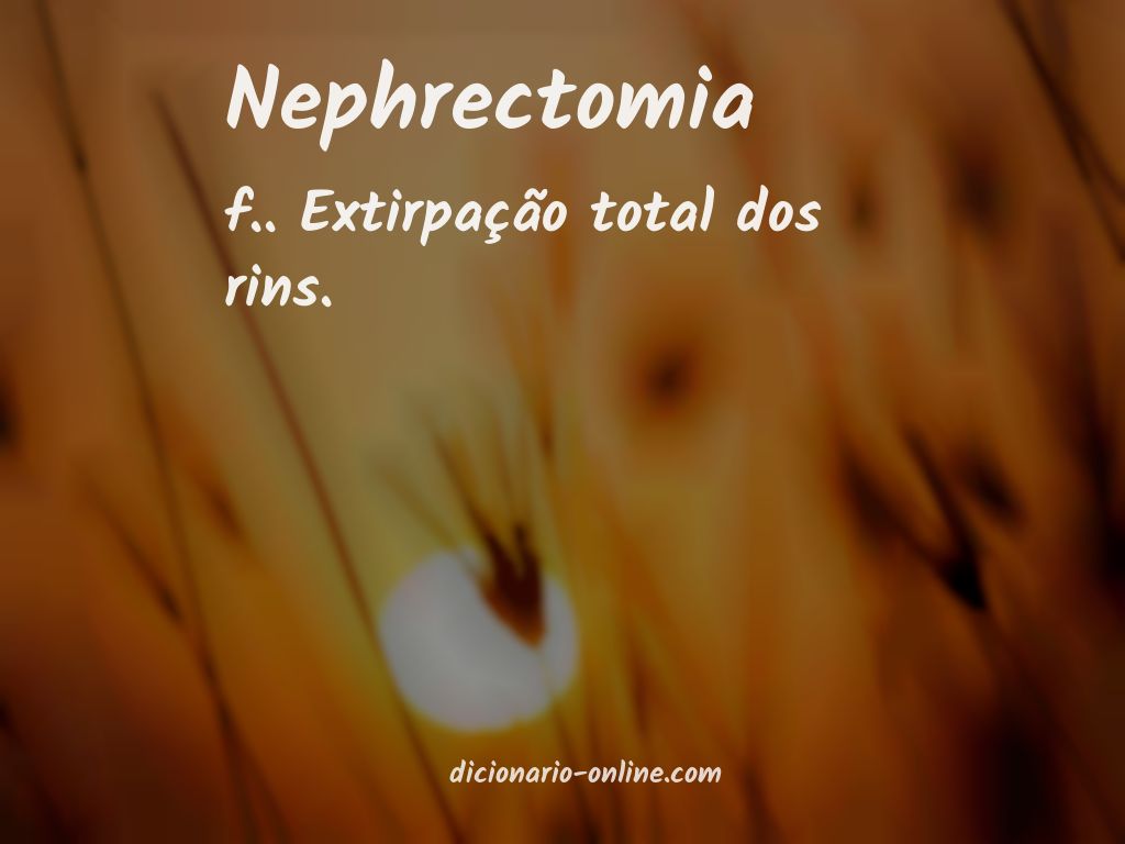 Significado de nephrectomia