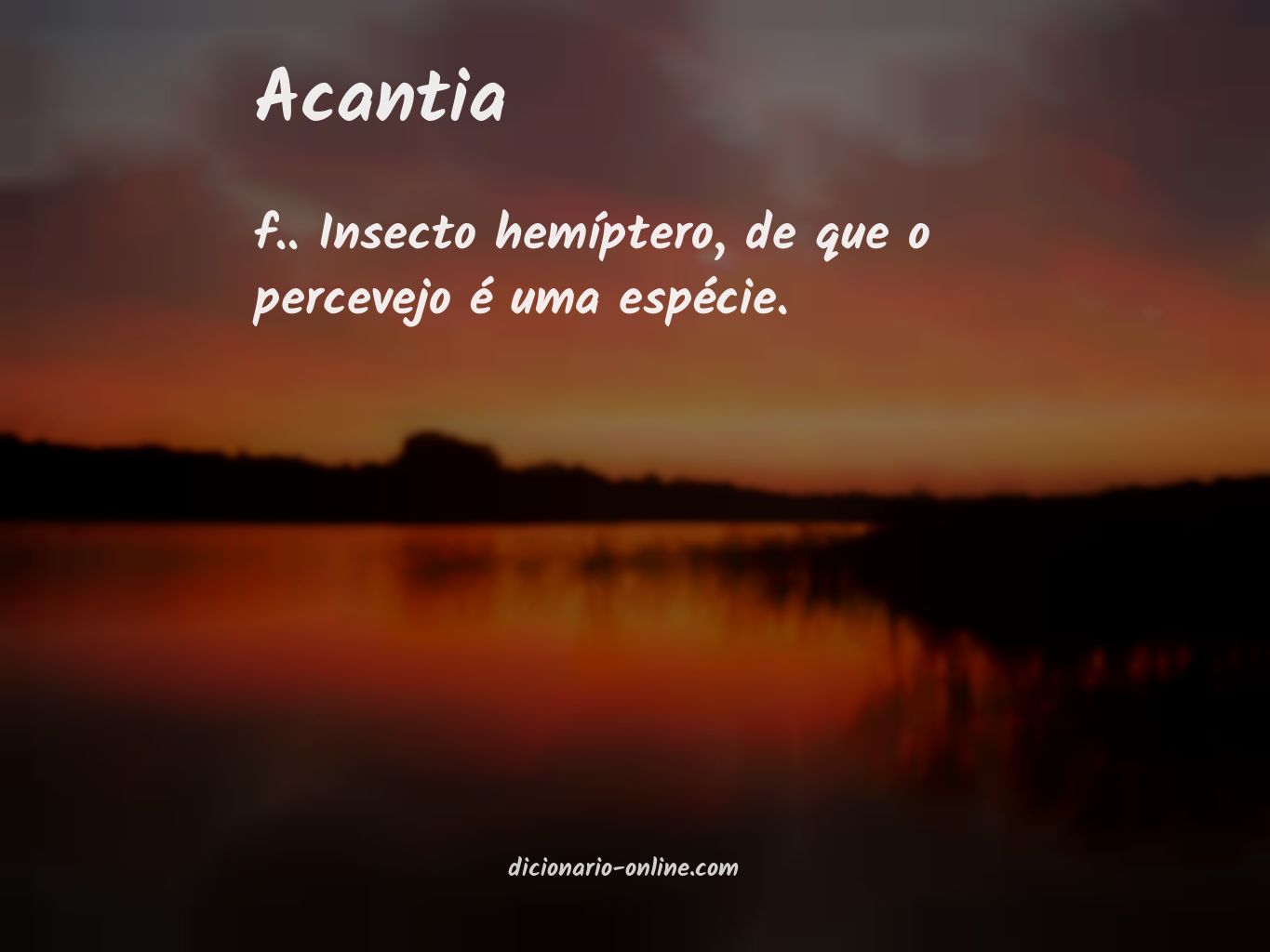 Significado de acantia