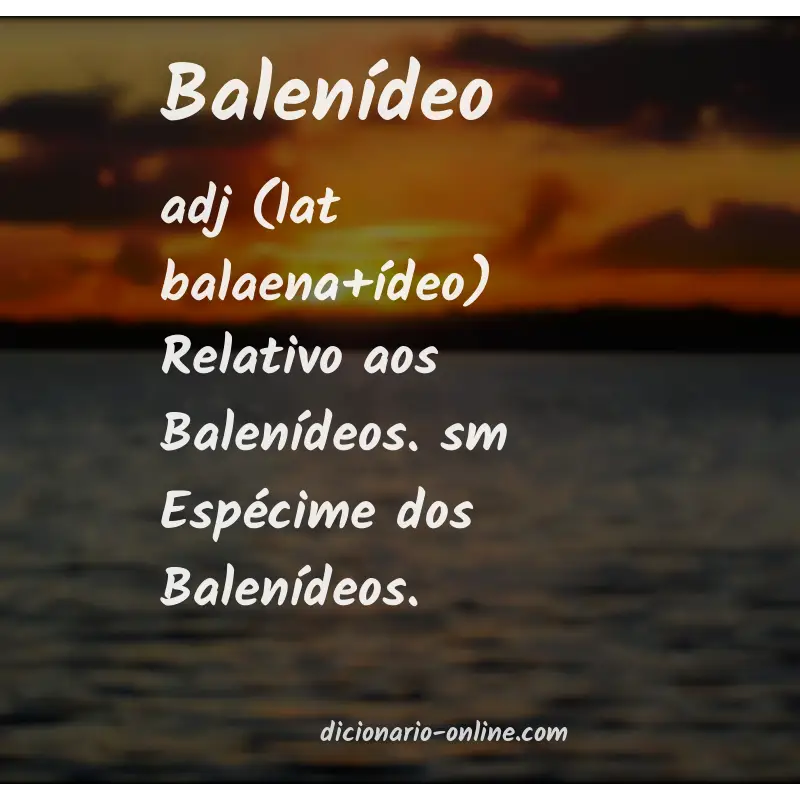 Significado de balenídeo
