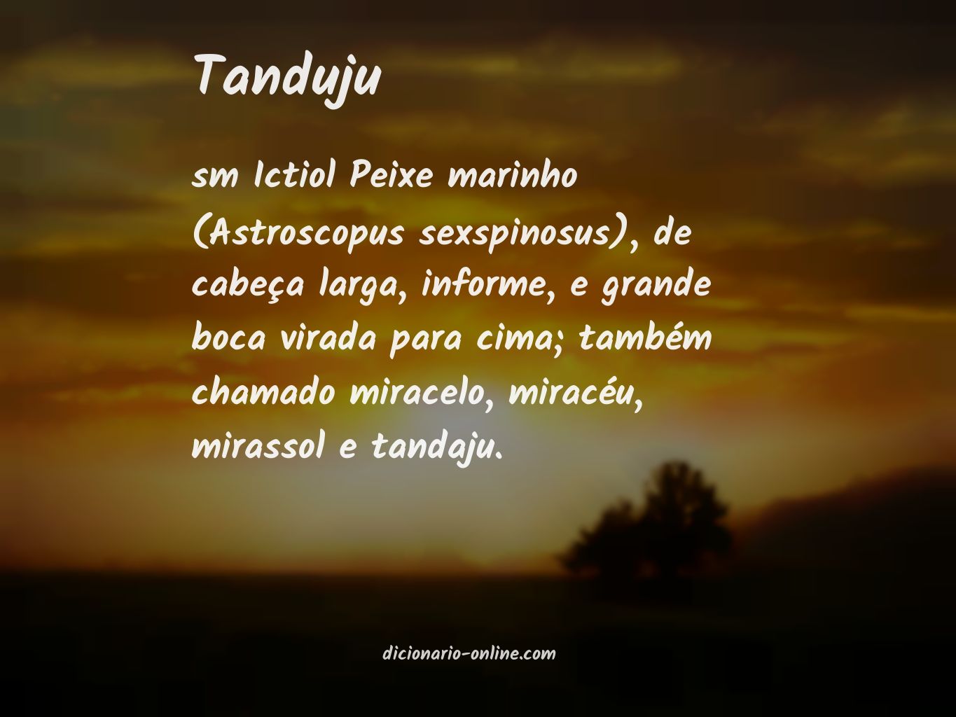 Significado de tanduju