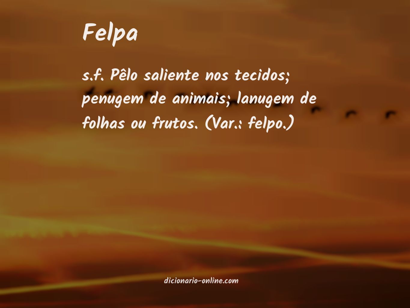 Significado de felpa