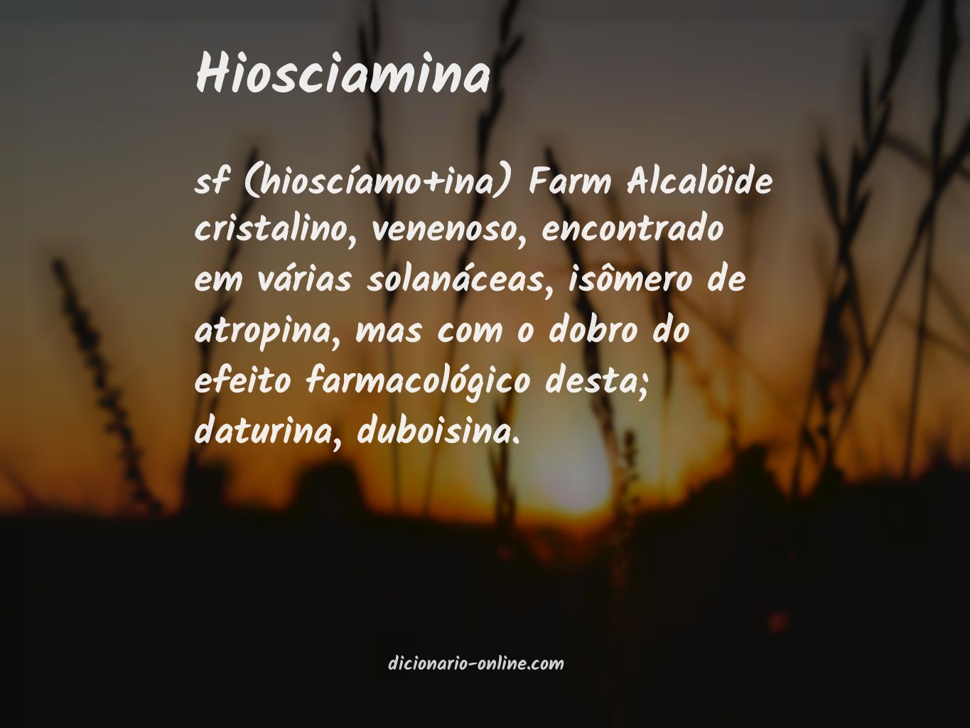 Significado de hiosciamina