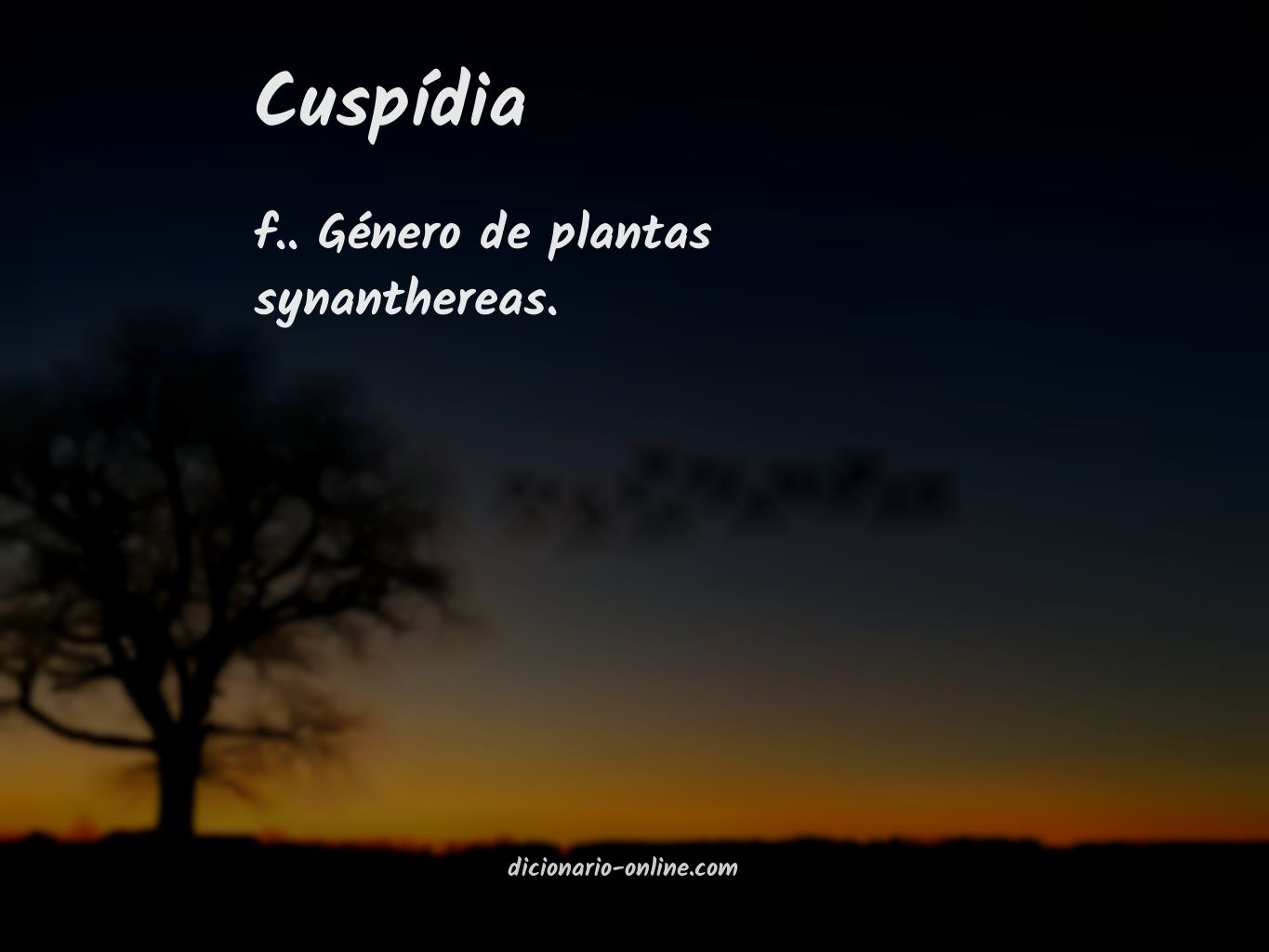 Significado de cuspídia