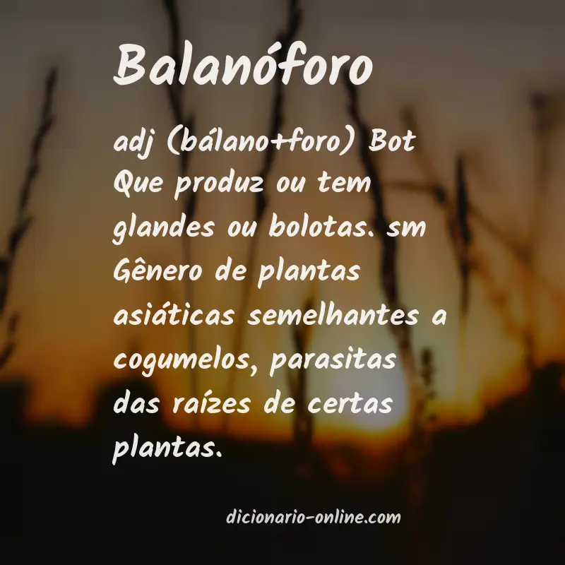 Significado de balanóforo
