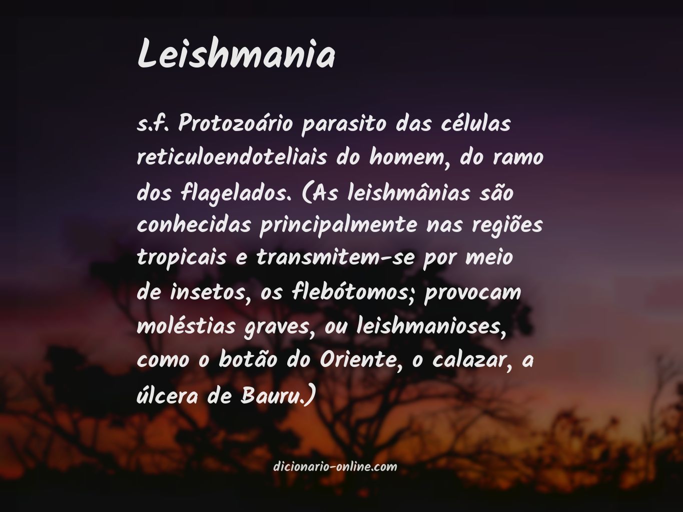 Significado de leishmania