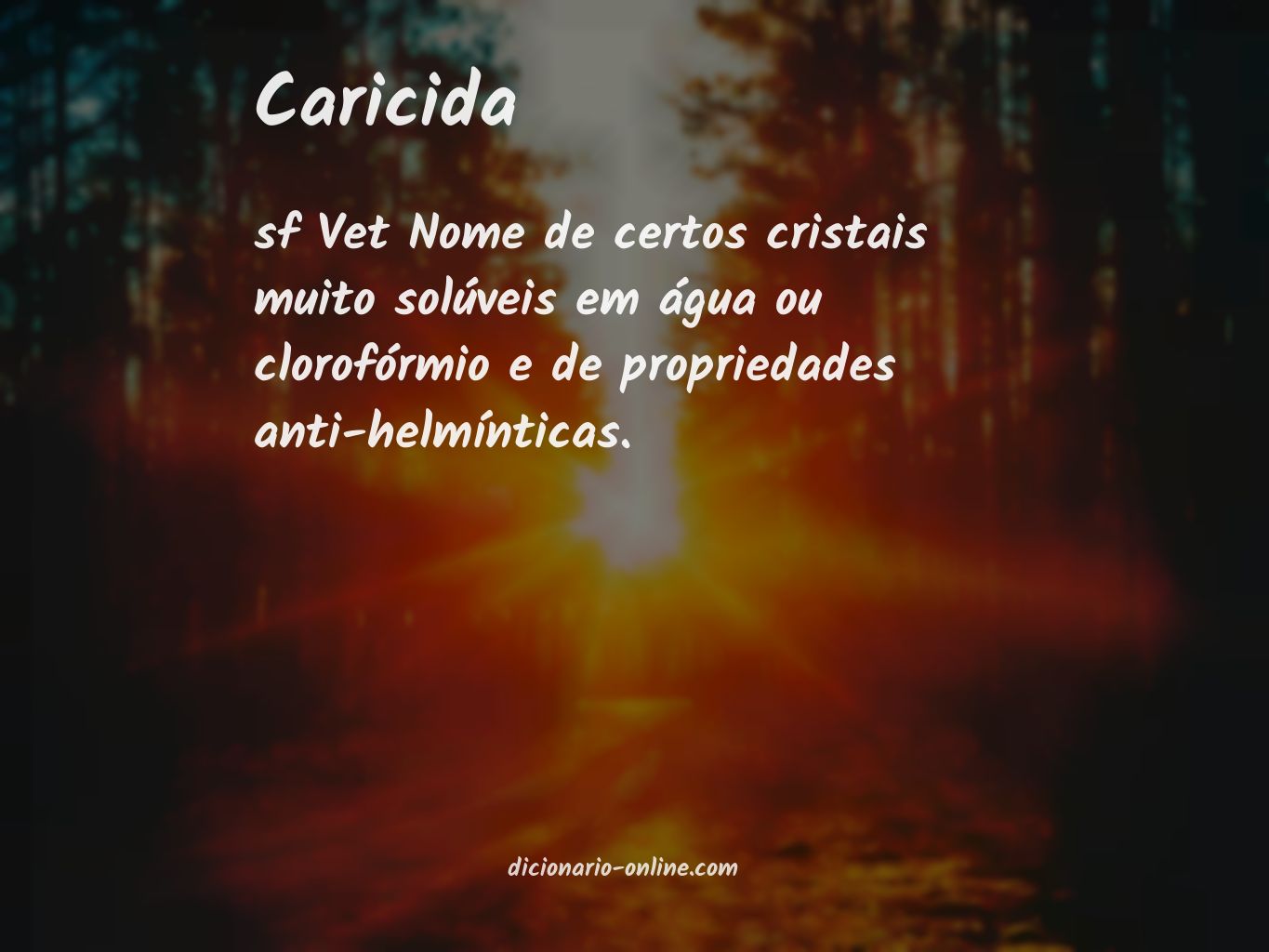 Significado de caricida