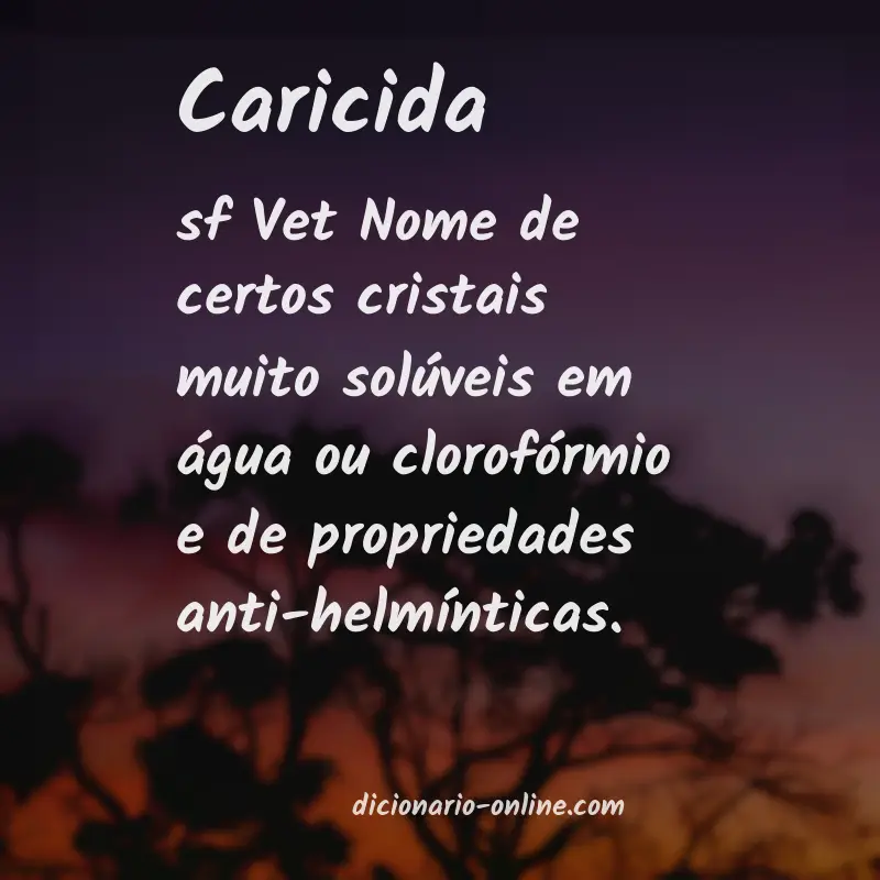 Significado de caricida