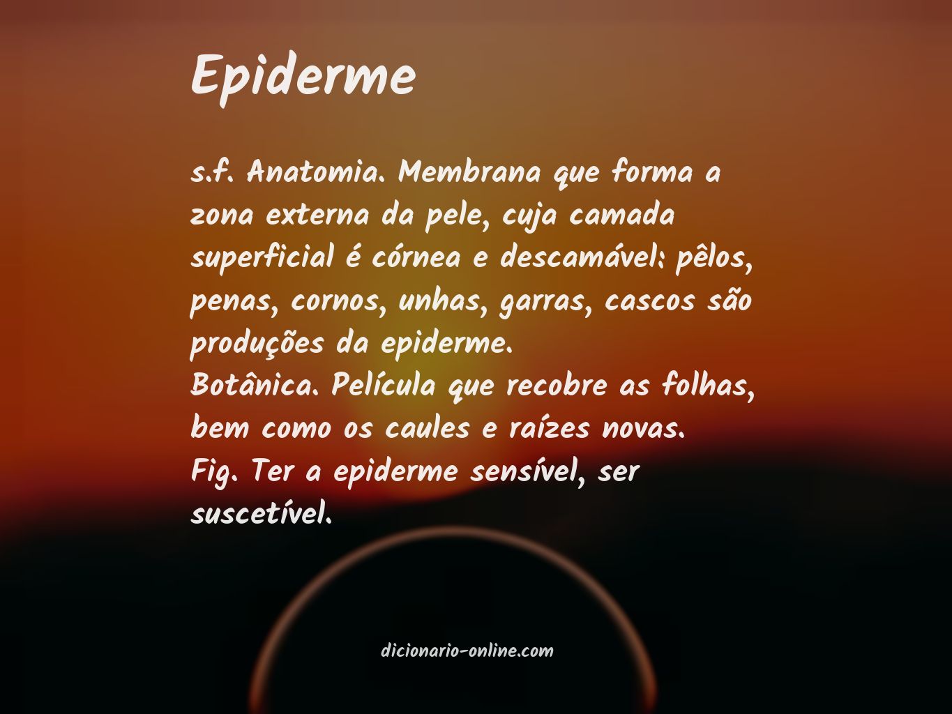 Significado de epiderme