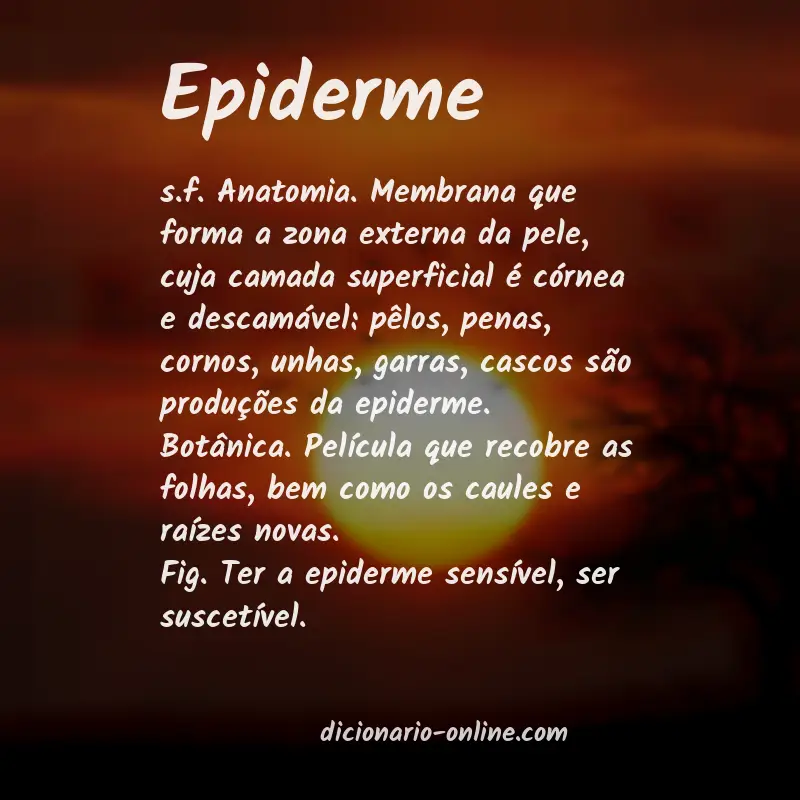 Significado de epiderme
