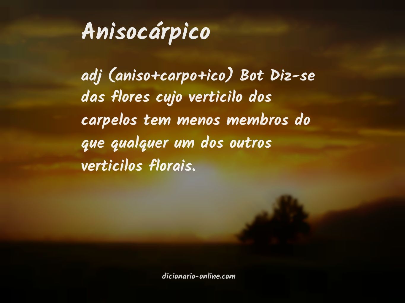 Significado de anisocárpico