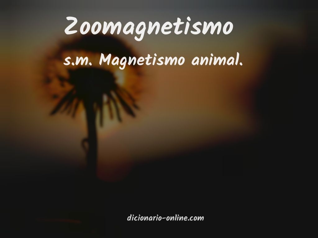 Significado de zoomagnetismo