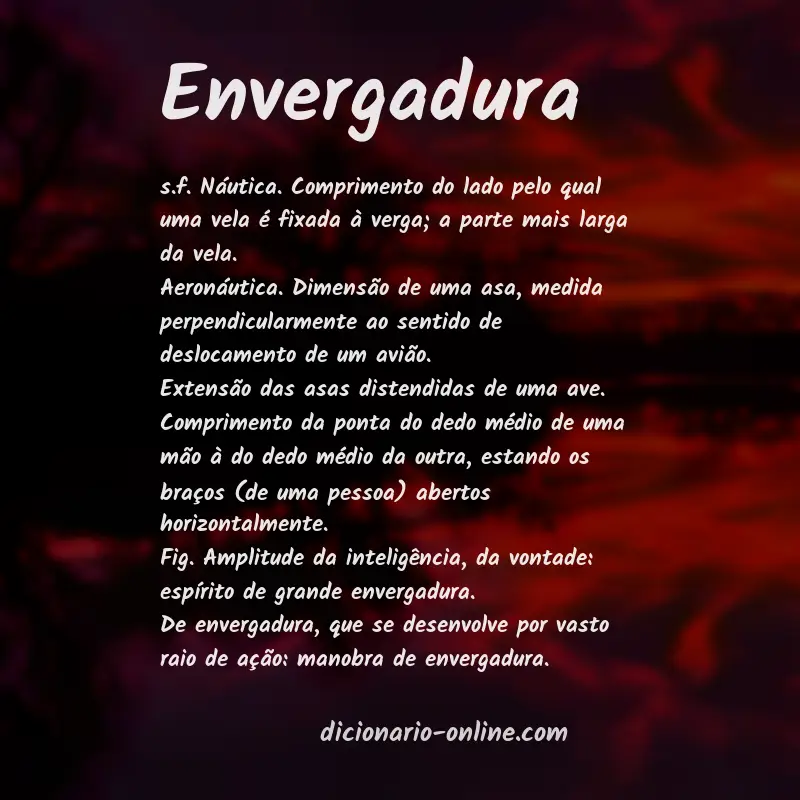 Significado de envergadura