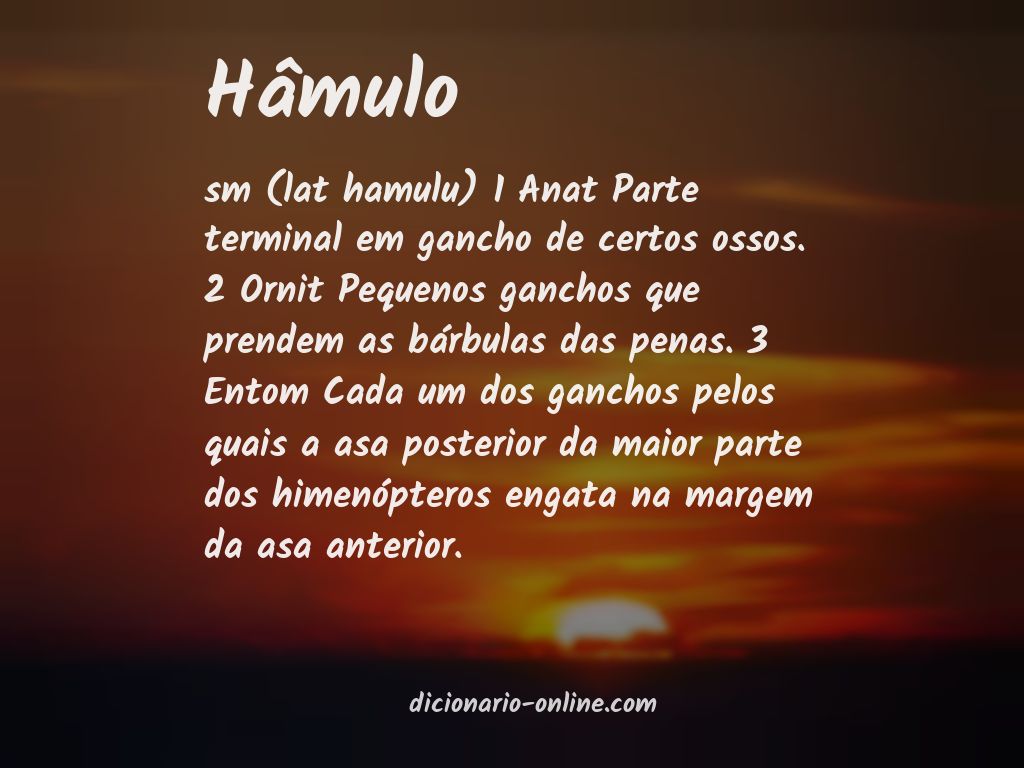 Significado de hâmulo