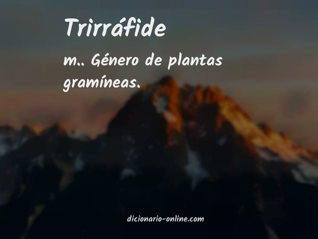 Significado de trirráfide