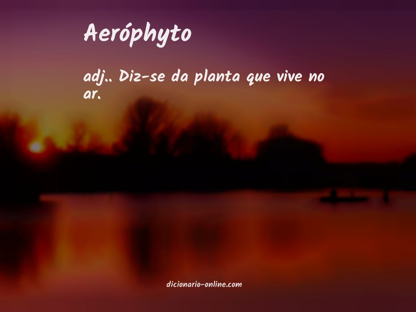 Significado de aeróphyto