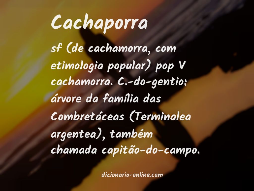 Significado de cachaporra