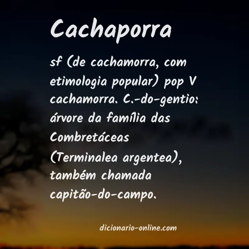 Significado de cachaporra