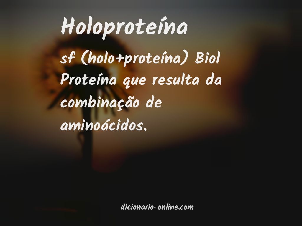 Significado de holoproteína