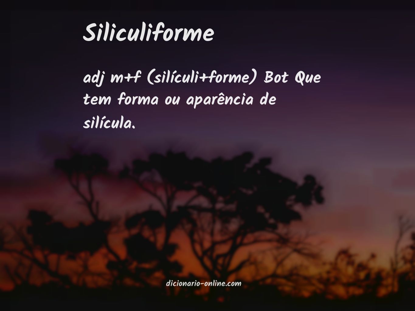 Significado de siliculiforme