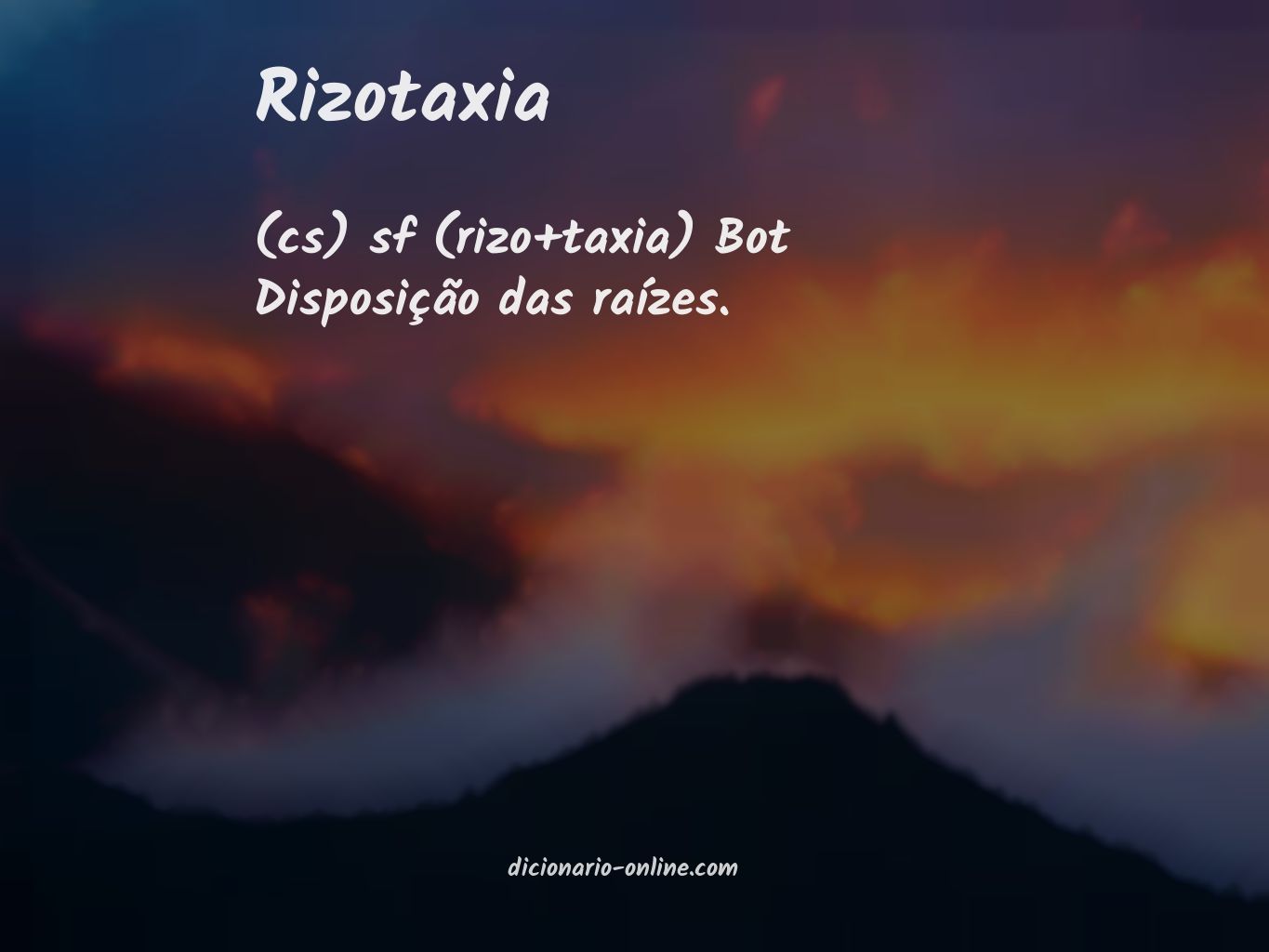 Significado de rizotaxia