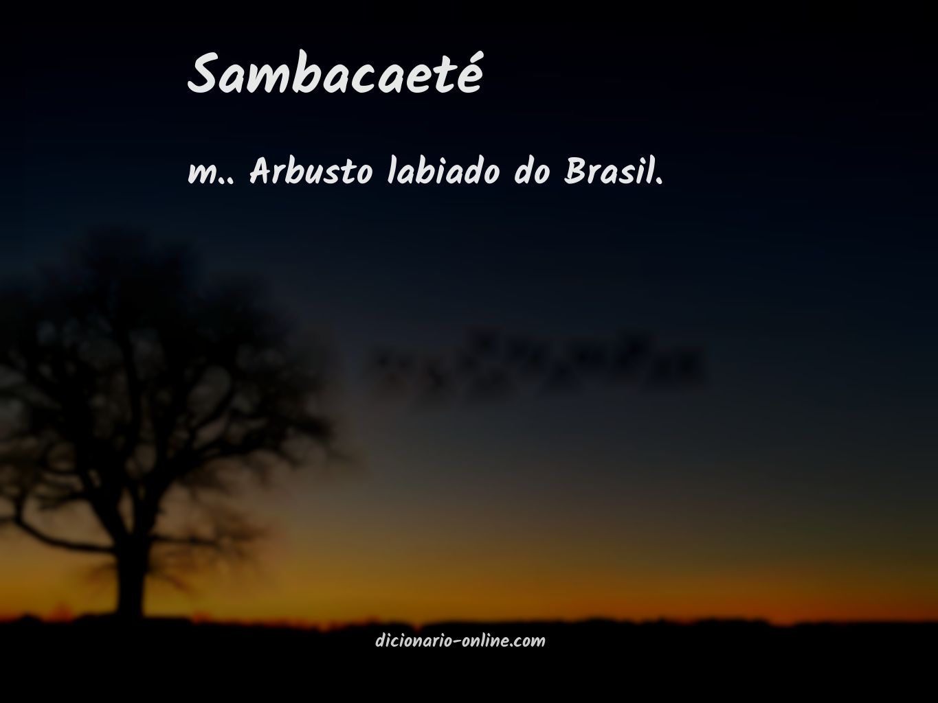 Significado de sambacaeté