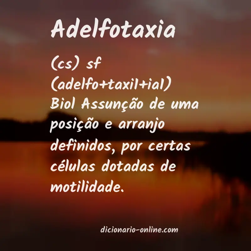 Significado de adelfotaxia