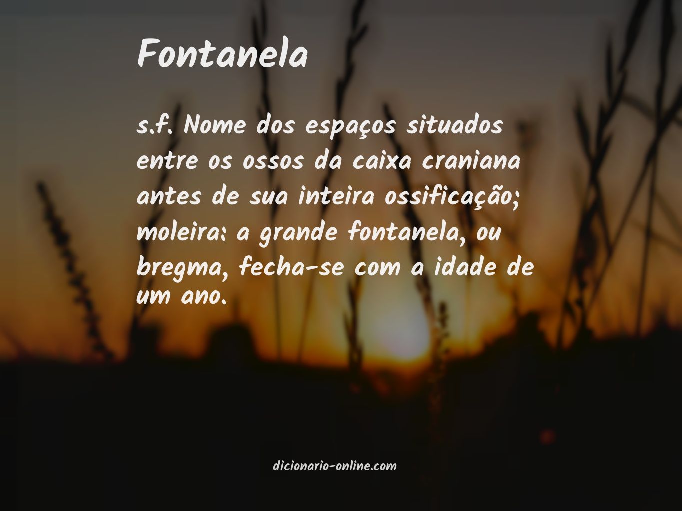 Significado de fontanela