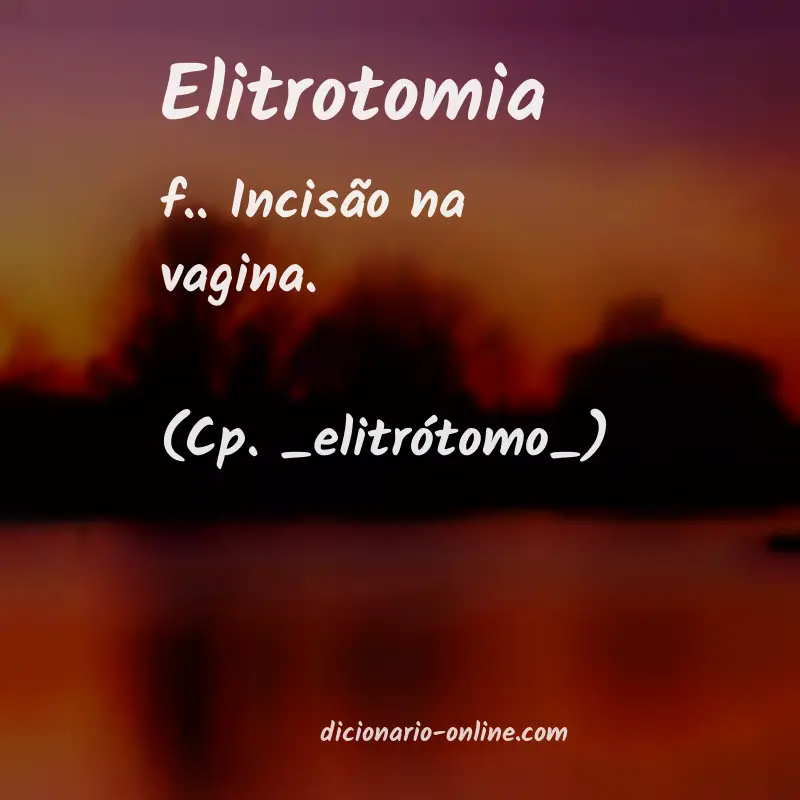Significado de elitrotomia