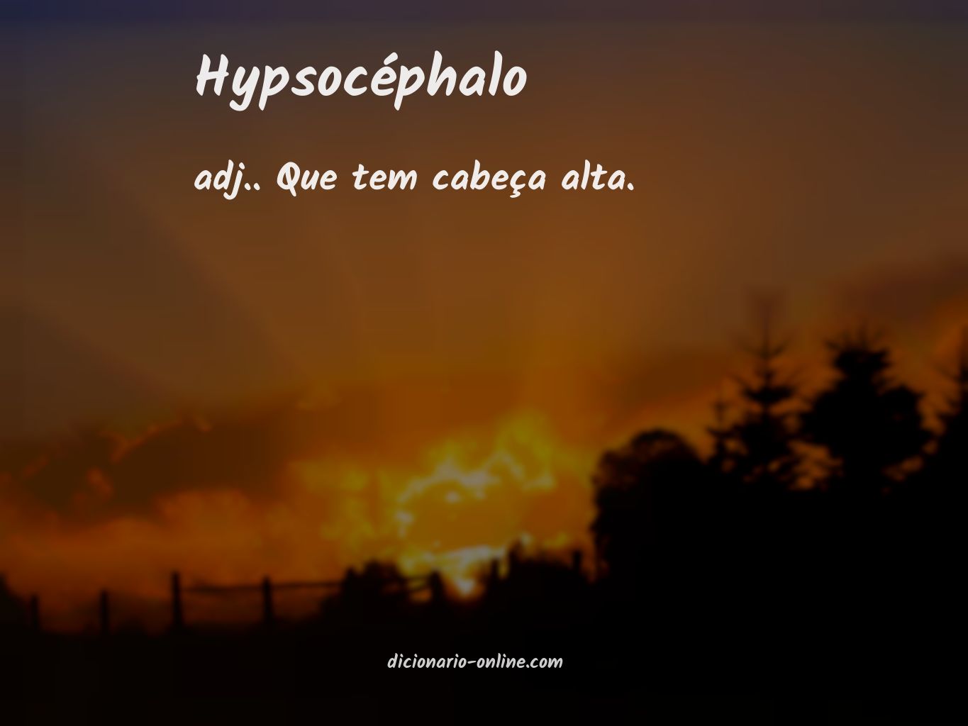 Significado de hypsocéphalo