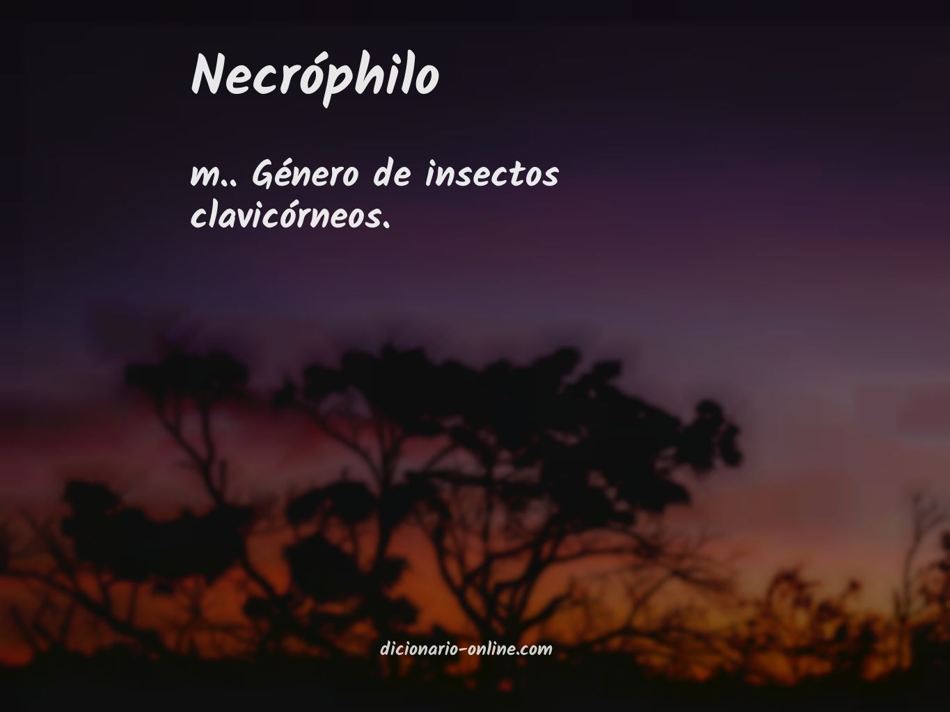 Significado de necróphilo