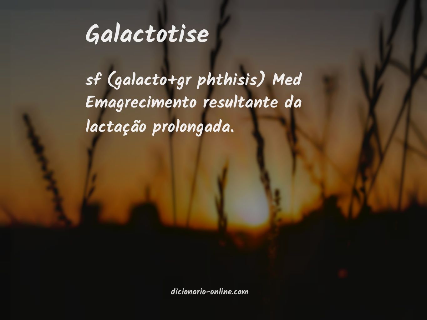 Significado de galactotise