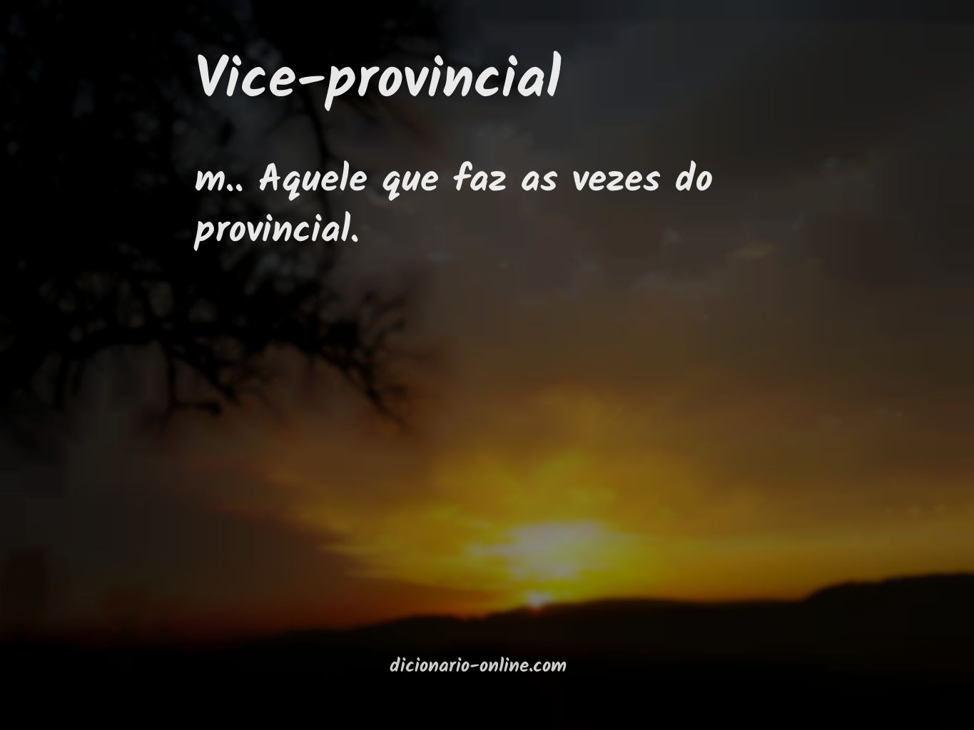 Significado de vice-provincial