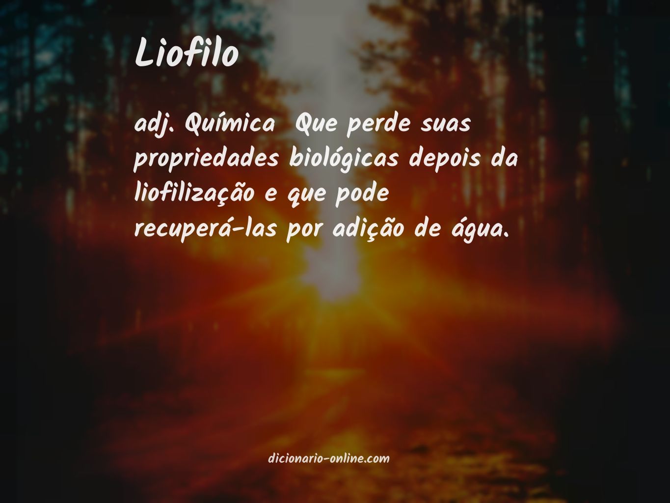 Significado de liofilo