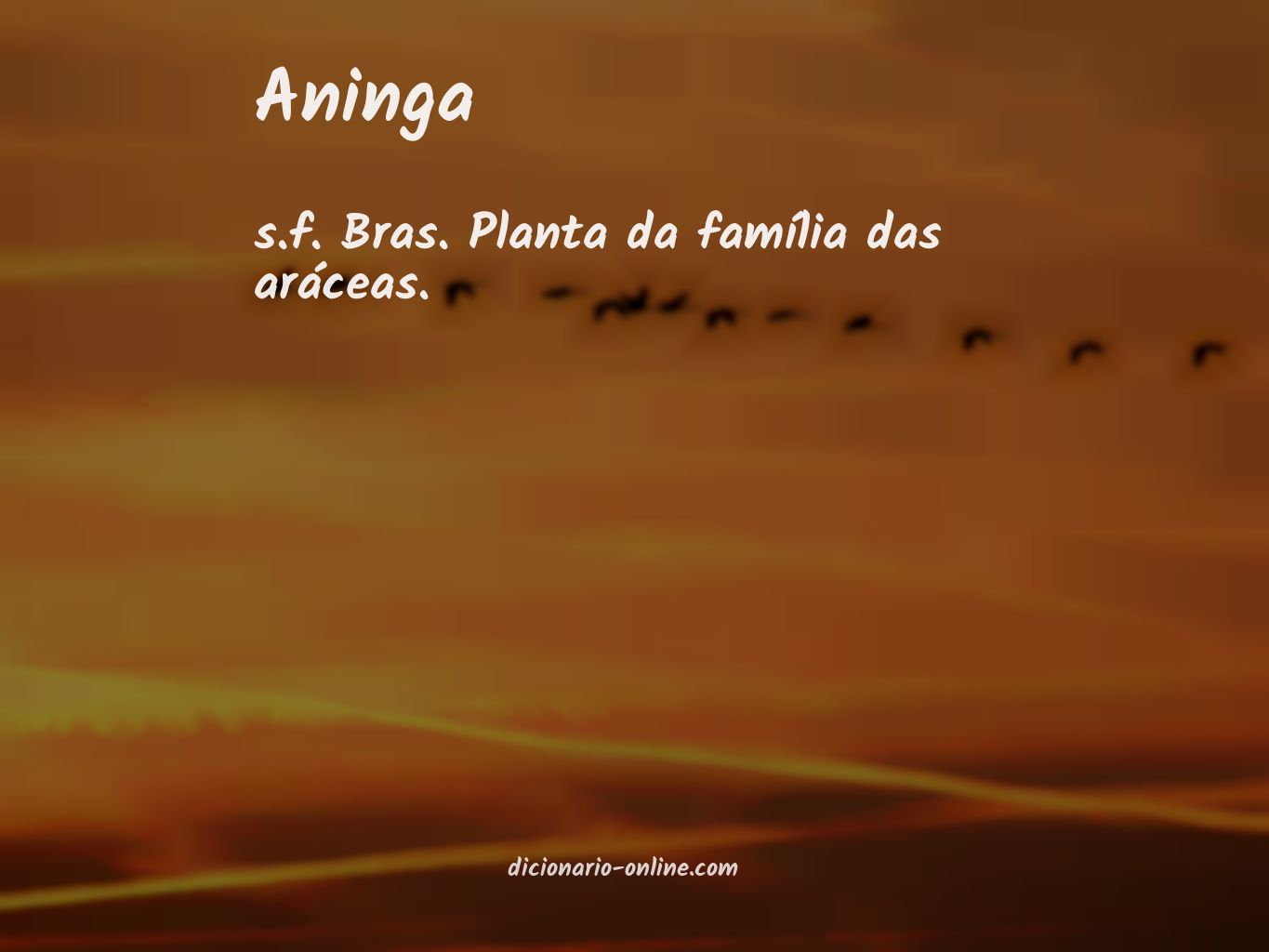 Significado de aninga