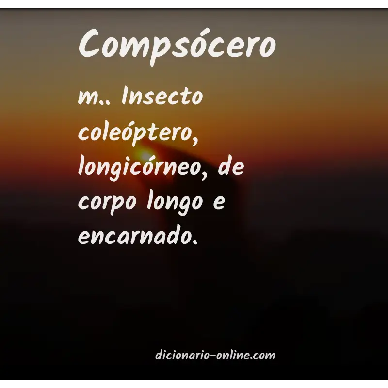 Significado de compsócero
