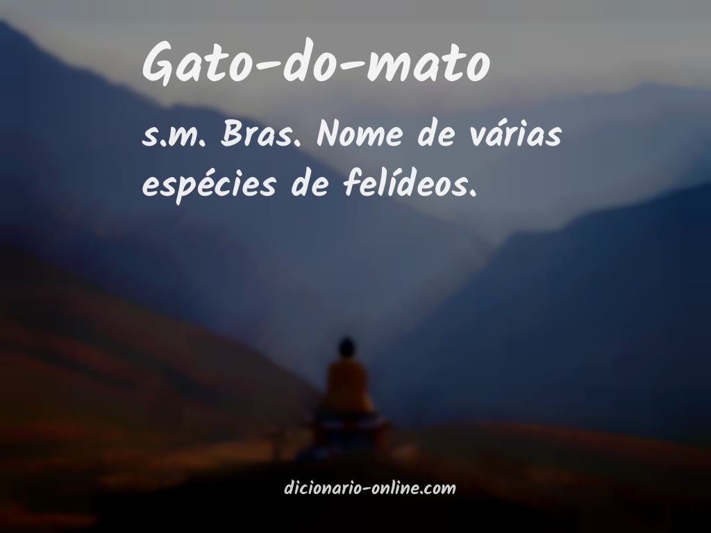 Significado de gato-do-mato