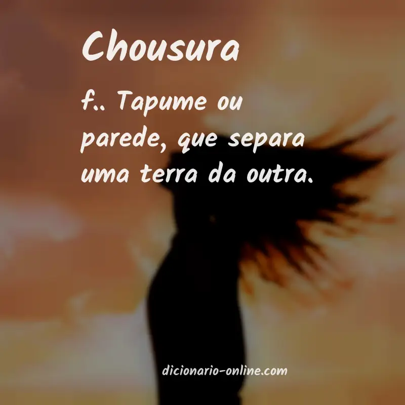 Significado de chousura